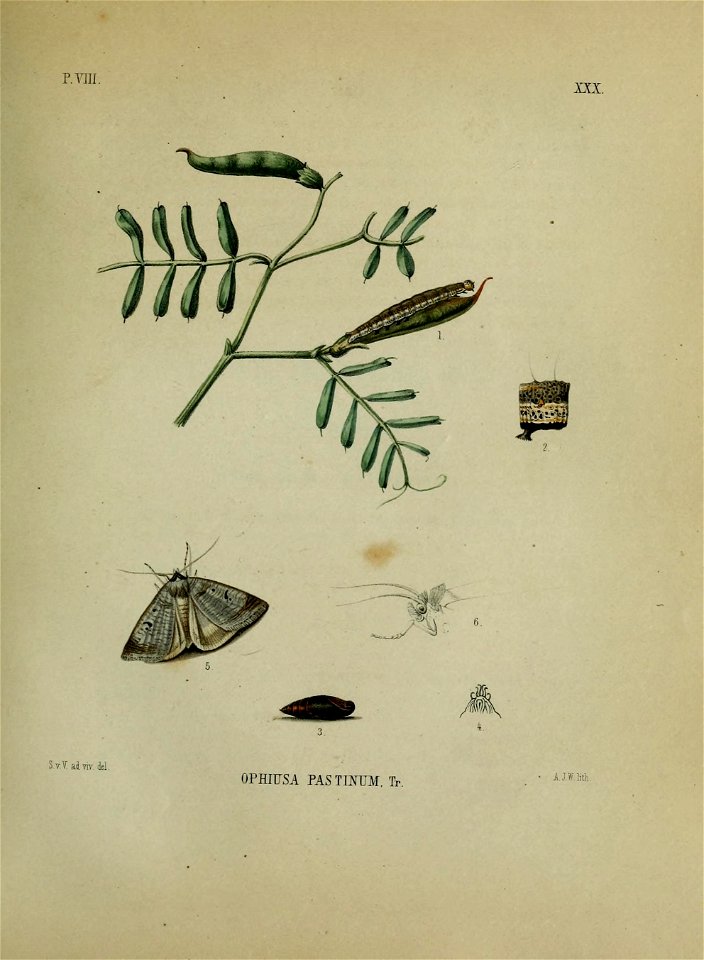 n192_w1150
