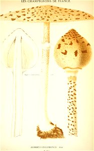 n536_w1150