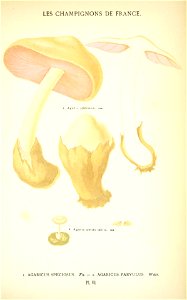 n534_w1150