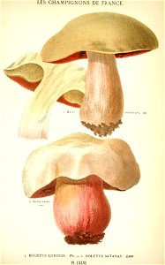 n592_w1150