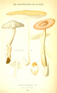 n532_w1150