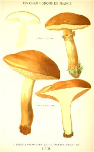 n590_w1150