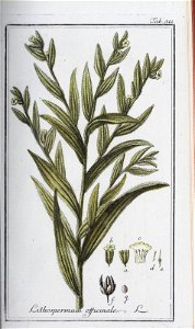 n156_w1150