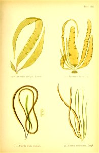 n102_w1150