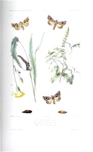 n122_w1150