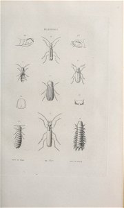 n538_w1150