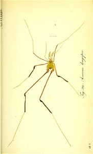 n178_w1150