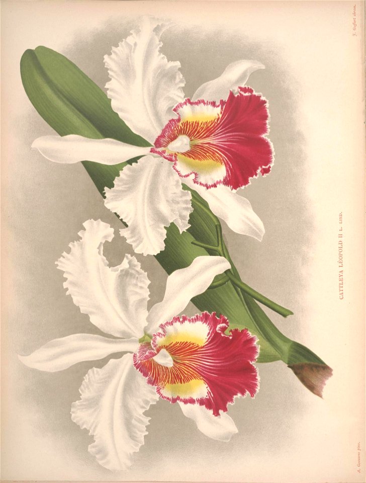 n172_w1150