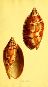 n152_w1150