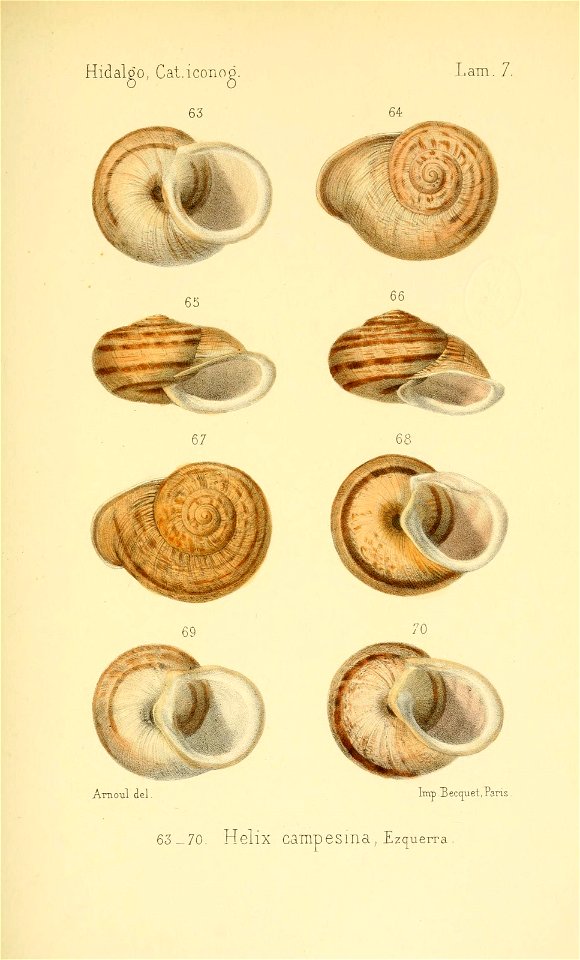 n256_w1150