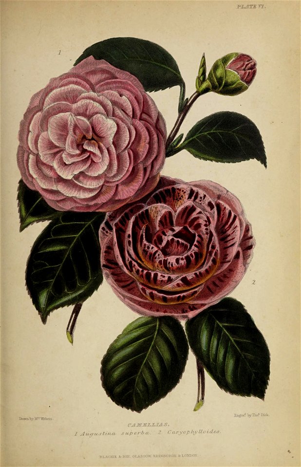 n802_w1150
