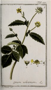n122_w1150