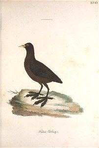 n62_w1150