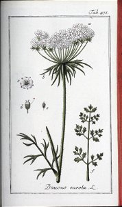n242_w1150