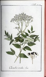 n182_w1150