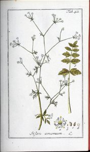 n122_w1150
