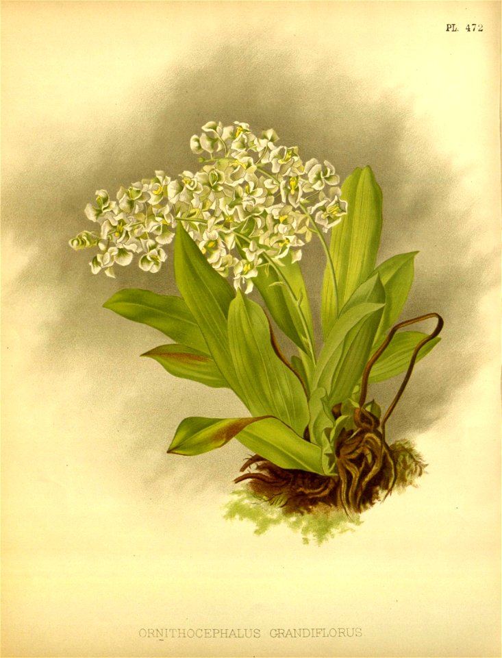 n122_w1150
