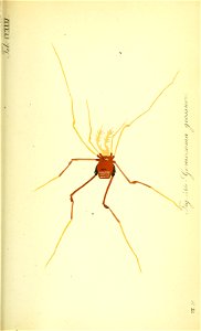 n172_w1150