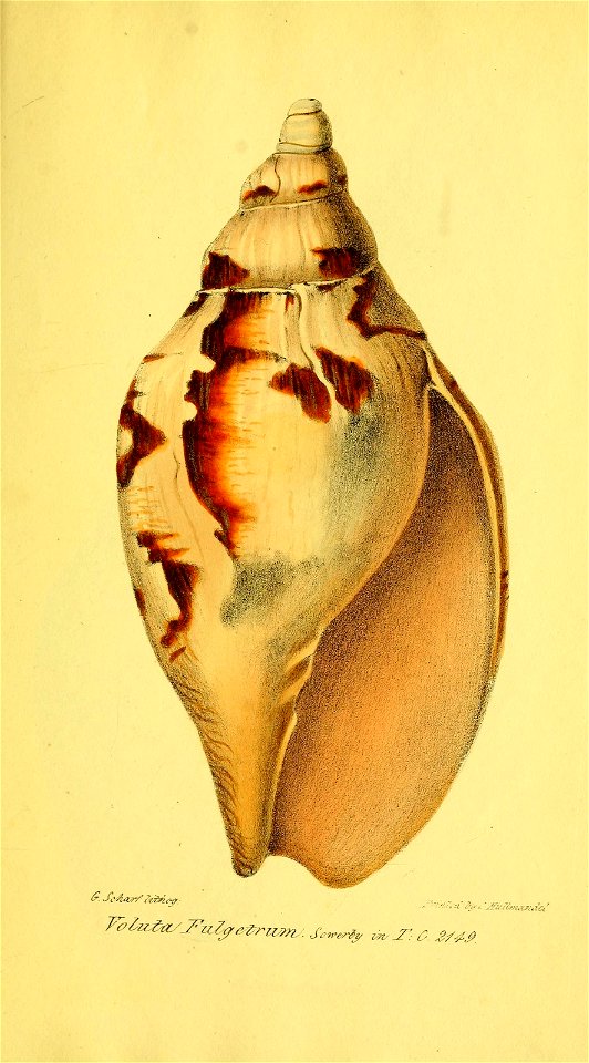 n150_w1150