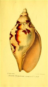 n150_w1150