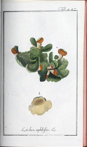 n194_w1150