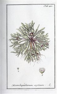 n104_w1150