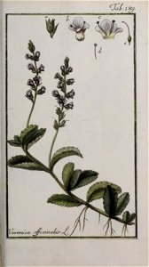 n256_w1150