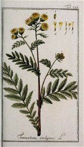 n172_w1150