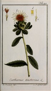 n158_w1150