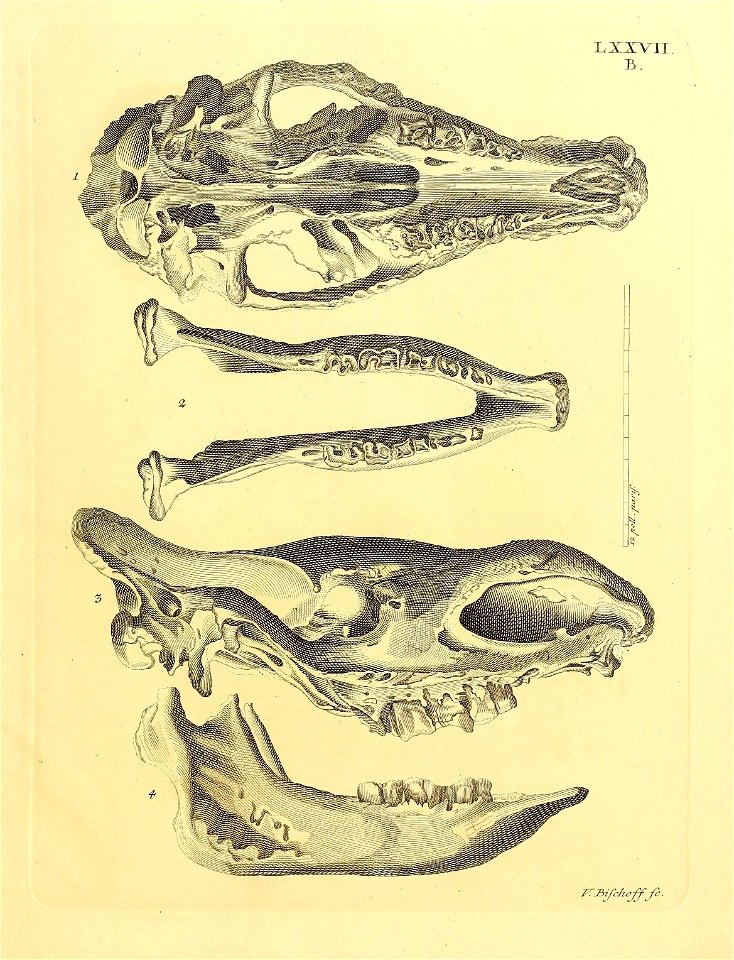 n362_w1150