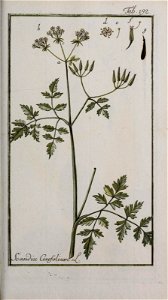 n262_w1150