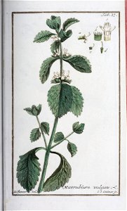n132_w1150
