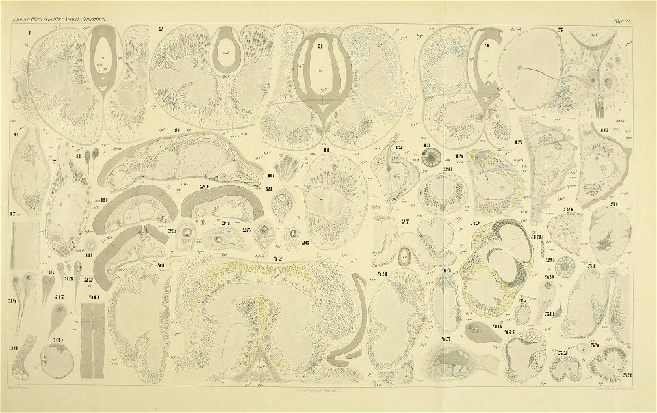 n102_w1150