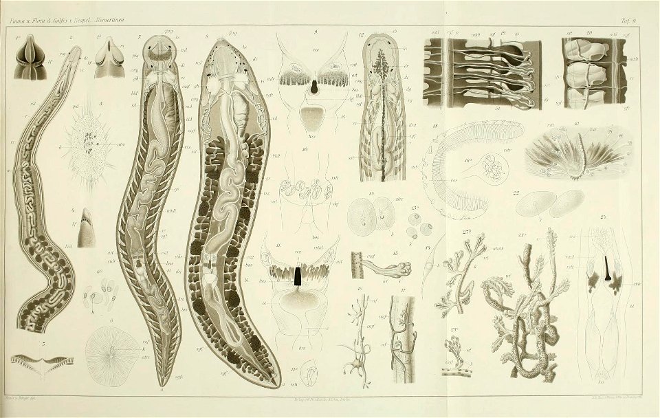 n42_w1150