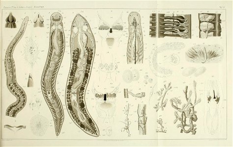 n42_w1150