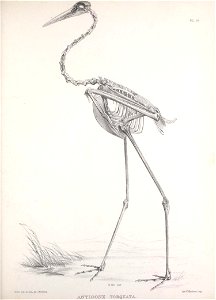 n182_w1150