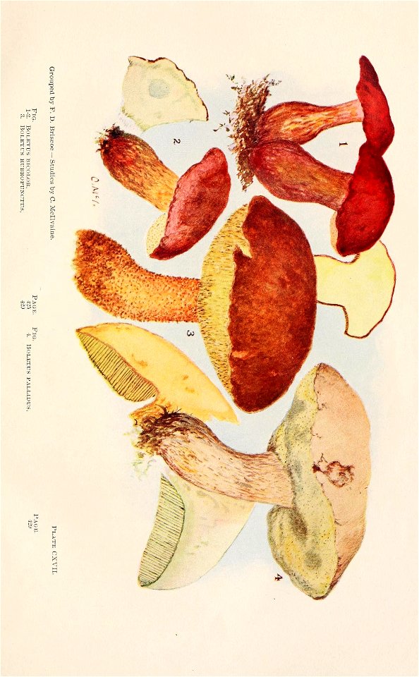 n562_w1150