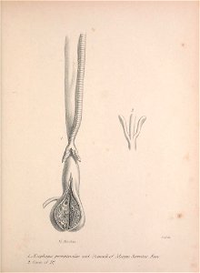 n58_w1150