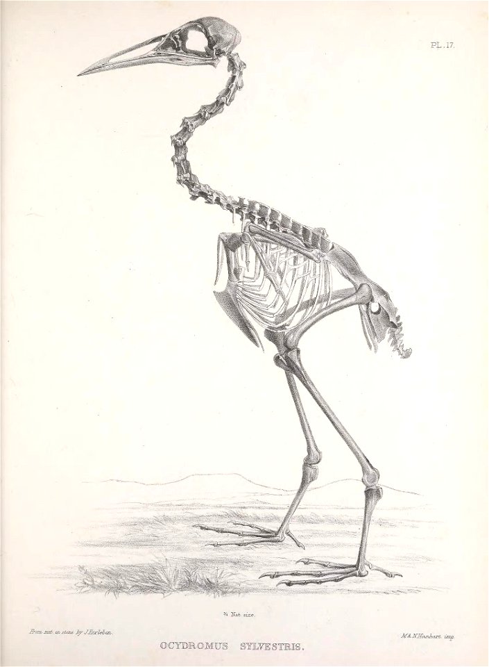 n178_w1150