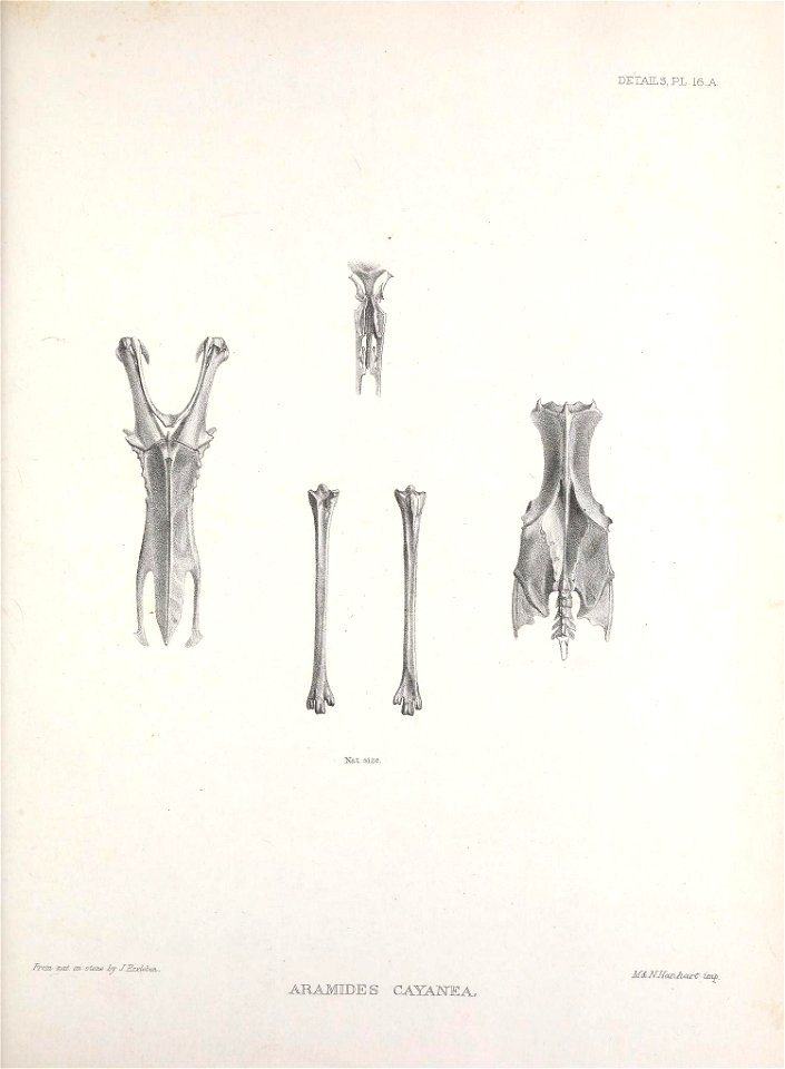 n176_w1150