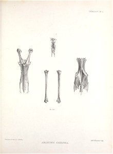 n176_w1150