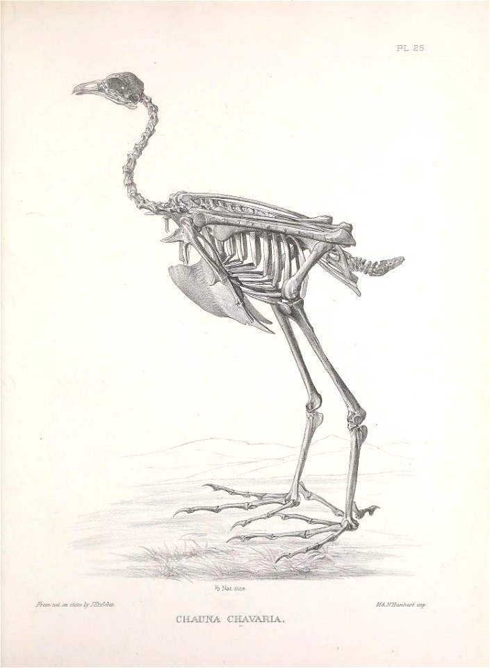 n220_w1150