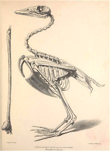 n54_w1150