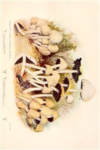 n502_w1150