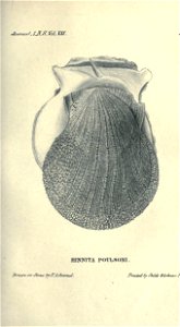 n214_w1150