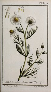 n156_w1150