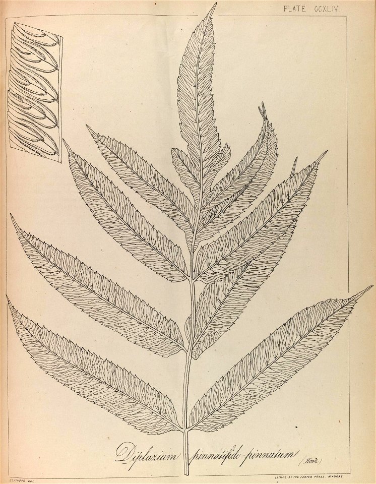 n128_w1150
