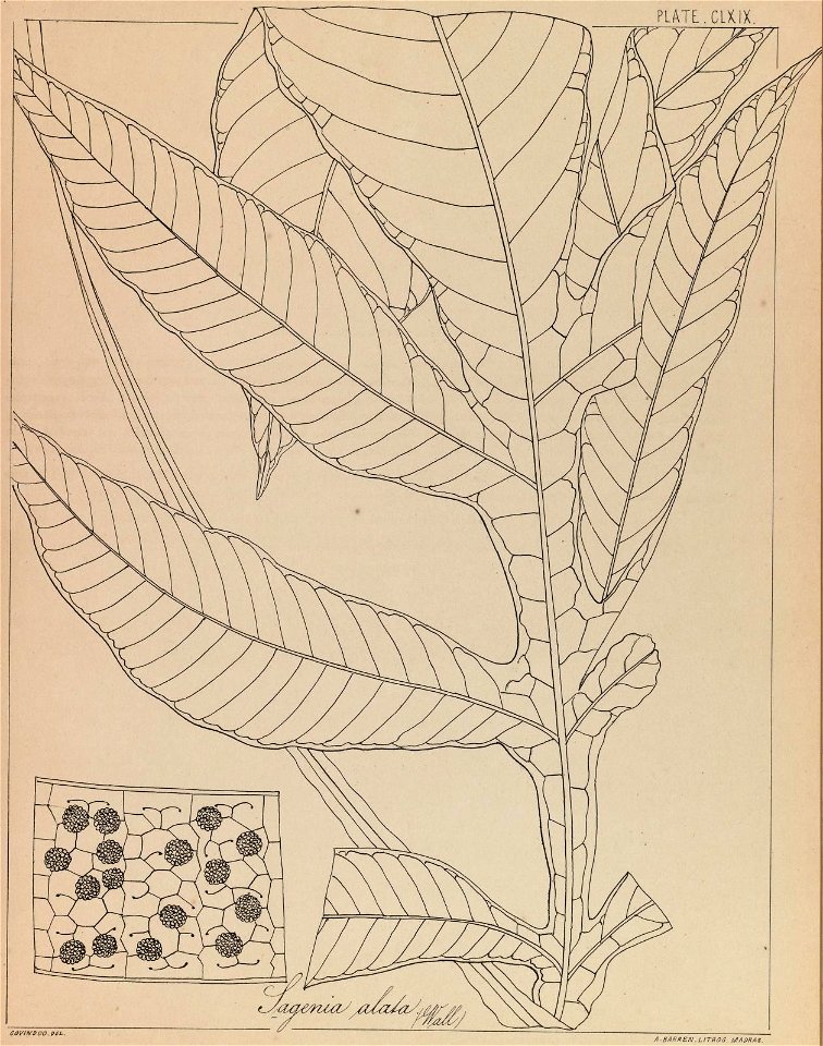 n338_w1150