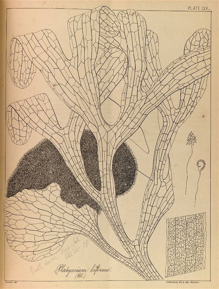 n218_w1150