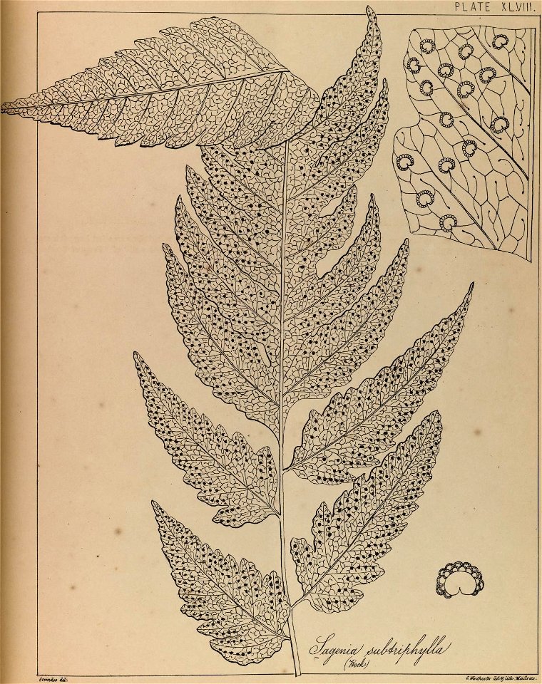 n96_w1150